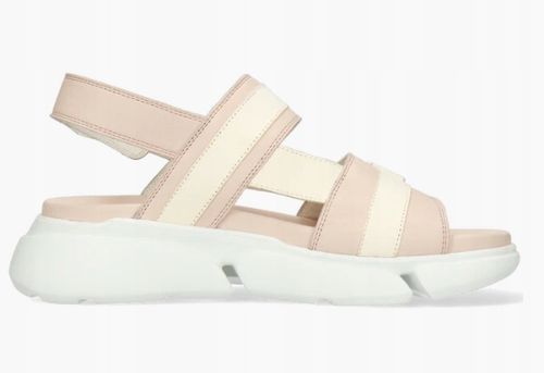 Melvin & Hamilton JOSIE 2 R.39 na Arena.pl