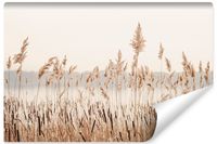 Fototapeta Ścienna JEZIORO Trzciny Trawa Natura Pejzaż 135cm x 90cm