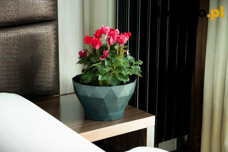 DONICZKA DELTA 220 A5 zdjęcie 6