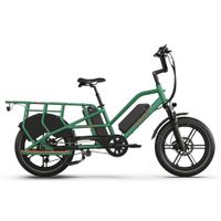 Rower Elektryczny cargo Jobobike Transer Zielony