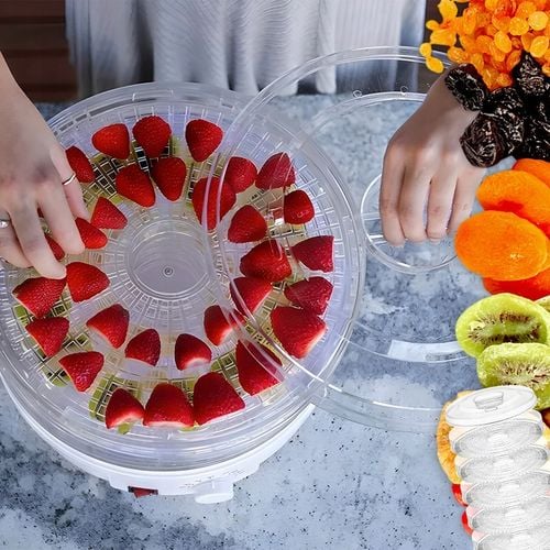 SUSZARKA DO GRZYBÓW OWOCÓW ZIÓŁ WARZYW SPOŻYWCZA REGULACJA TEMPERATURY na Arena.pl