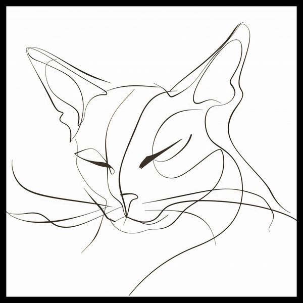 Plakat 70x70cm Linijny Kot zdjęcie 2