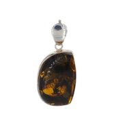 Zawieszka - Bursztyn z łuskami w srebrze