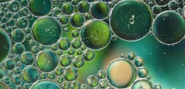 Suplement diety na wzrok Best Lab Best EyeShield 30 kapsułek na Arena.pl