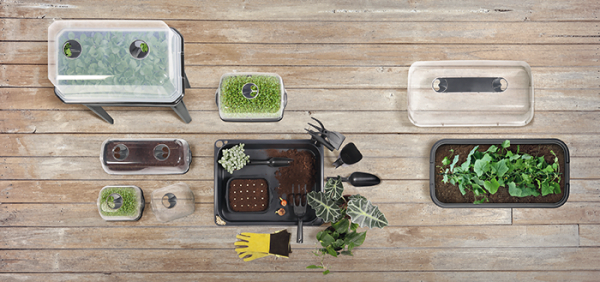 Zestaw mini szklarni - Respana Table Top Seed Starter Set - antracyt zdjęcie 4