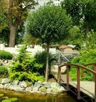 MORWA CZARNA NA PNIU KULISTA 200 cm NOWOŚĆ