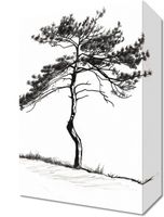 Obraz 20x30cm Samotna Sosna