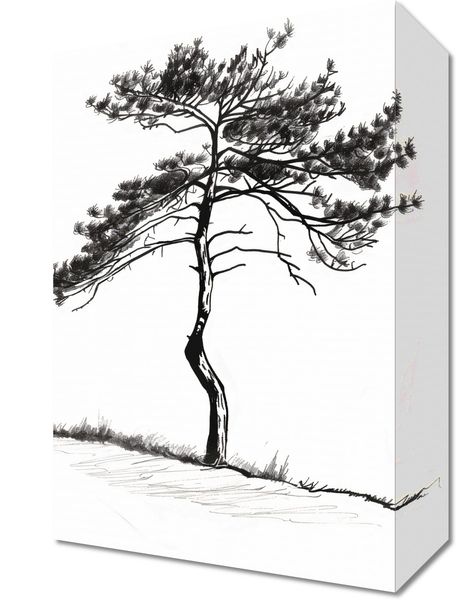 Obraz 20x30cm Samotna Sosna zdjęcie 1