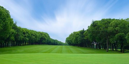 Barfertile Universal Nawóz letni 20kg na Arena.pl