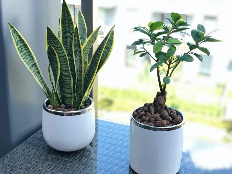DONICZKA OSŁONKA CERAMICZNA BIAŁA DONICZKI OSŁONKI zdjęcie 4