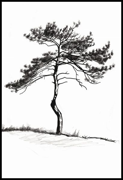 Plakat 67,5x100cm Samotna Sosna zdjęcie 2