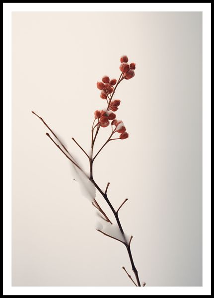 Plakat 68x98cm Subtelna Siła Zimy zdjęcie 3