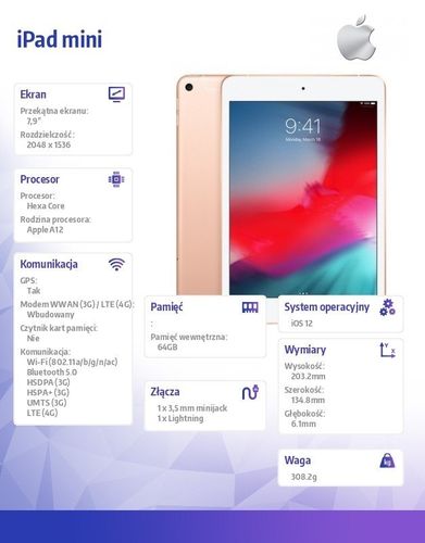 IPad mini Wi-Fi + Cellular 64GB - Gold na Arena.pl