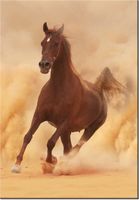 100 70CM OBRAZ PŁÓTNO KOŃ GALOPIE PŁÓTNO RAMA