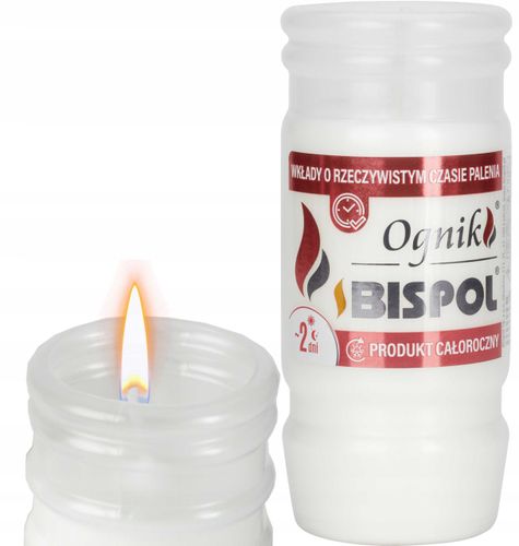 bispol - wkład zalewany ognik wp2n - 1 szt. na Arena.pl