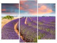 60 90CM OBRAZ 3 ELEM POLE LAWENDY ŚCIENNY DRUK PŁÓTNO