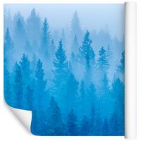 Fototapeta 3D Mglisty Las PEJZAŻ do Salonu 300x210
