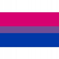 FLAGA TĘCZOWA LGBT DUŻA 90x150cm BISEKSUALNOŚĆ F7
