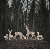 Zestaw 5 Reniferów świecących LED 3 kolory światła ozdoby świąteczne święta