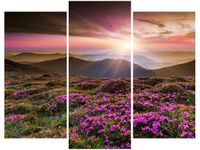 product-compare-58672555