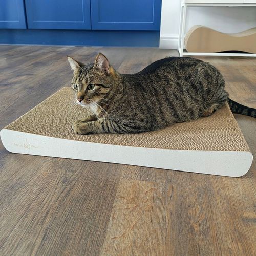 Drapak dla kota SIGMA | biały 40cm | 58x6.6x40 cm | MruuPruu na Arena.pl