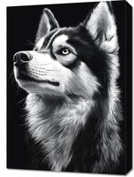 Obraz 50x70cm Portret Zwierząt do Salonu Pokoju | Husky | Czarno Białe