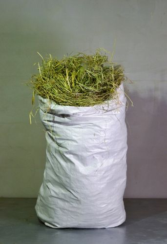 Siano , Sianko, 5kg dla gryzoni ,zwierząt domowych i hodowlanych na Arena.pl