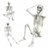 SZKIELET CZŁOWIEKA MODEL KOŚCIOTRUP KOSTIUM DEKORACJE HALLOWEEN 170cm