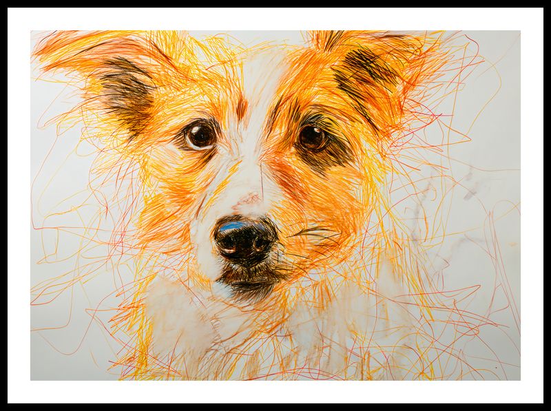 Plakat 70x50cm Uroczy Gość zdjęcie 3