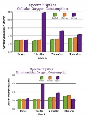Aliness Premium Vitamin Complex 23 WITAMINY I MINERAŁY DLA KOBIET 120tab zdjęcie 3
