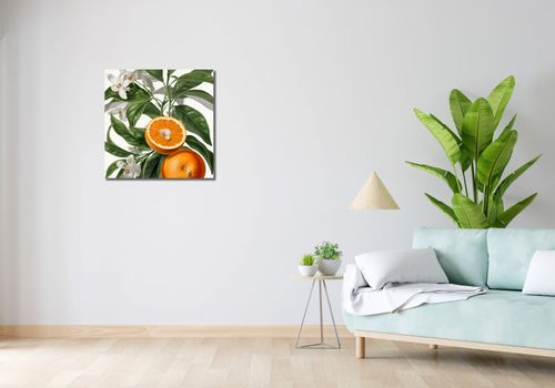 Obraz 60x60cm Dojrzałość Pomarańczy na Arena.pl