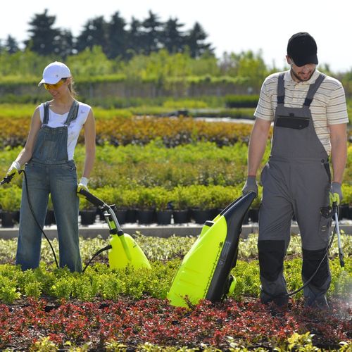 Marolex VX na Arena.pl