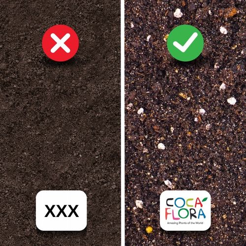 Podłoże MIX - Ziemia - Do Roślin ZIELONYCH PREMIUM Mieszanka Green na Arena.pl