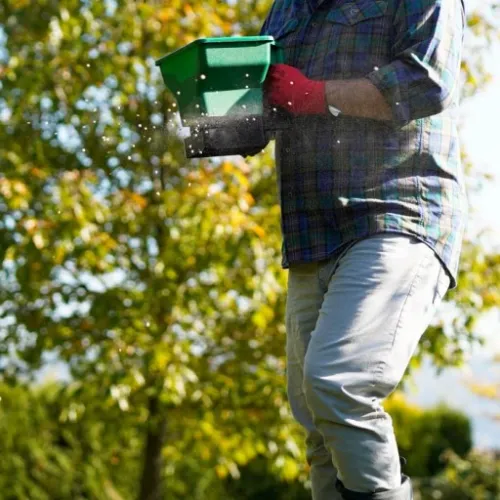 Siewnik do Nawozów i Nasion Ręczny Sprawdzony na Arena.pl