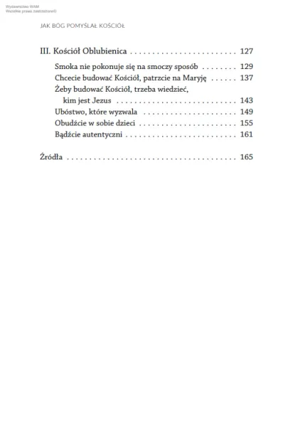 Jak Bóg pomyślał Kościół zdjęcie 15
