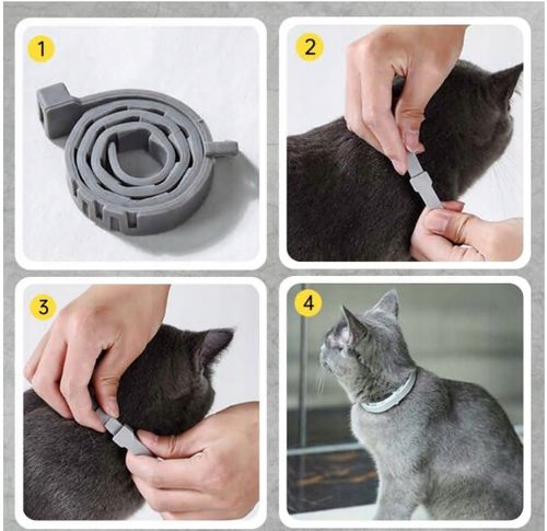 Obroża na pchły i kleszcze dla kota w wieku 8 miesięcy 32 CM na Arena.pl