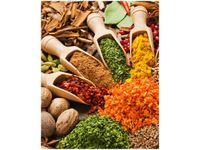 40X50CM FESTIWAL PRZYPRAW OBRAZ