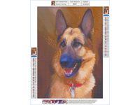 OBRAZ MOZAIKA  KOLOROWA