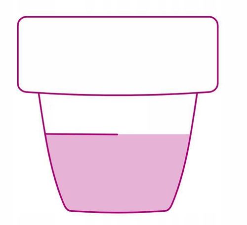 bopon - nawóz do roślin zielonych płyn 1l na Arena.pl