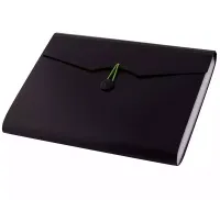 Mocna teczka A4 z 12 przegródkami segregującymi dokumenty - D.RECT czarna