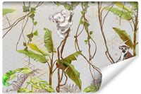 Fototapeta KOALA Lemur Tropikalny Las Abstrakcja 405cm x 270cm