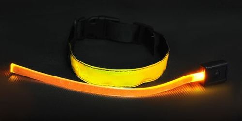 Obroża LED żółta - S na Arena.pl