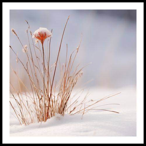 Plakat 80x80cm Zima w Detalach na Arena.pl