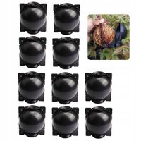 KULE Ukorzeniana SADZONKI Ukorzeniacz ROZMNAŻANIE Sad KLONOWANIE 10x