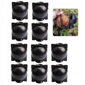 KULE Ukorzeniana SADZONKI Ukorzeniacz ROZMNAŻANIE Sad KLONOWANIE 10x