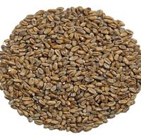 SŁÓD PSZENICZNY Ciemny 1 kg - Weyermann