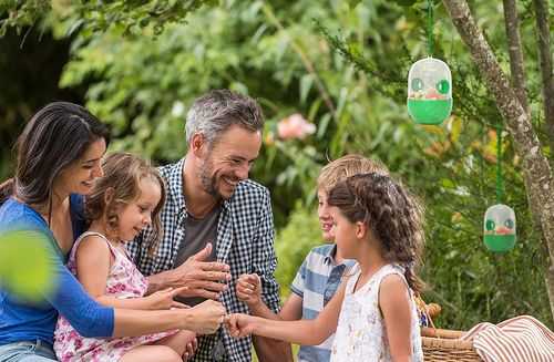 PUŁAPKA NA OSY OWADY 2SZT/KPL WABIĄCA MUCHY na Arena.pl