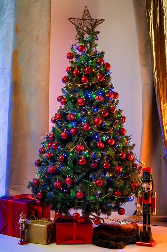 Choinka Jodła Szlachetna 180cm na Arena.pl