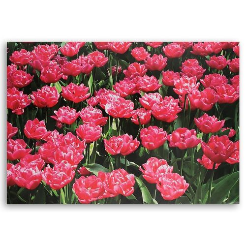 Deco Panel, Czerwone kwiaty 80x60 na Arena.pl