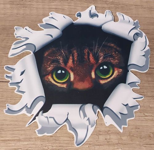 Wlepa Kocie Oczy Koteczek Słodziaczek Kicia Dziura na Arena.pl